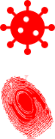 Virus and Fingerprint